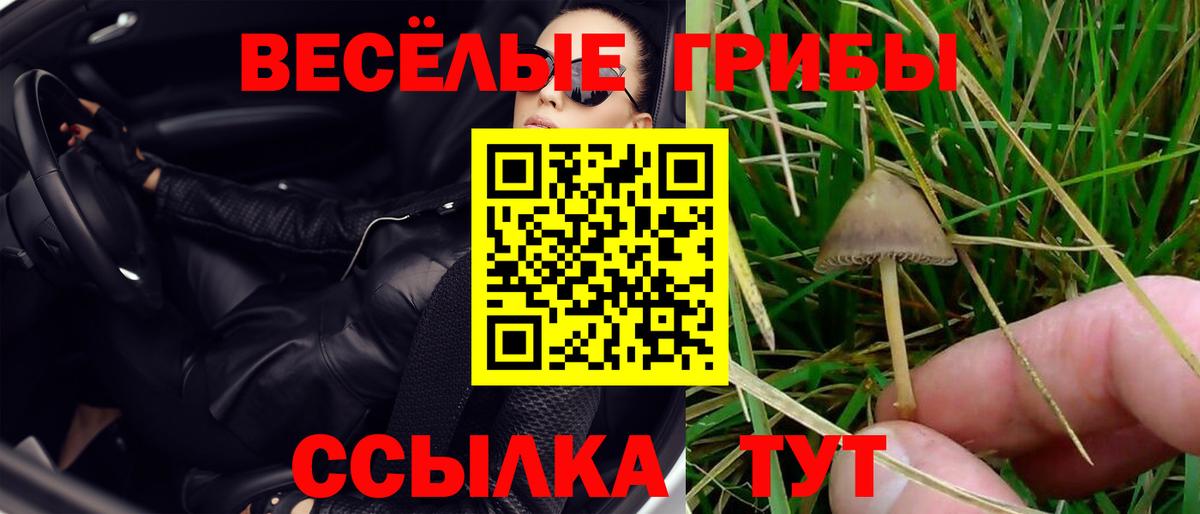 Галлюциногенные грибы ЛСД Воткинск